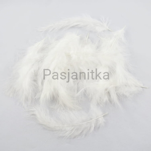 Pióra strusie / biały / ok 20 szt