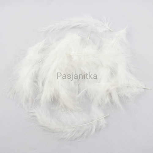 Pióra strusie / biały / ok 20 szt
