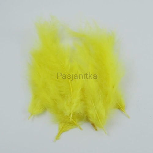 Pióra strusie / żółty / ok 20 szt