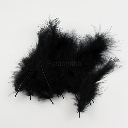 Pióra strusie / czarny / ok 20 szt