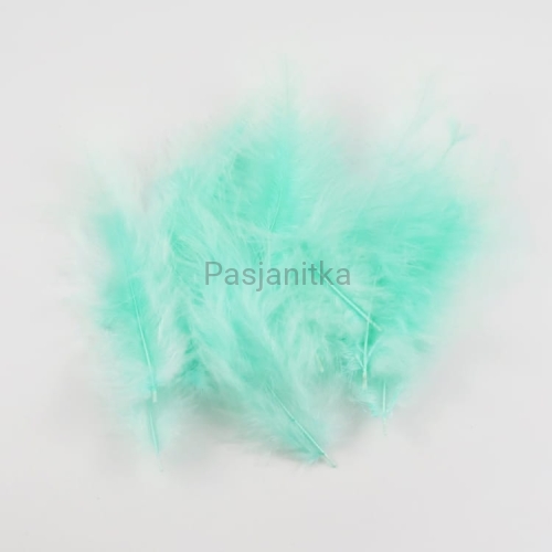 Pióra strusie / mięta / ok 20 szt