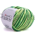 Włóczka Cloud 5311