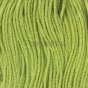 Ariadna Mulina 1684 / trawiasty