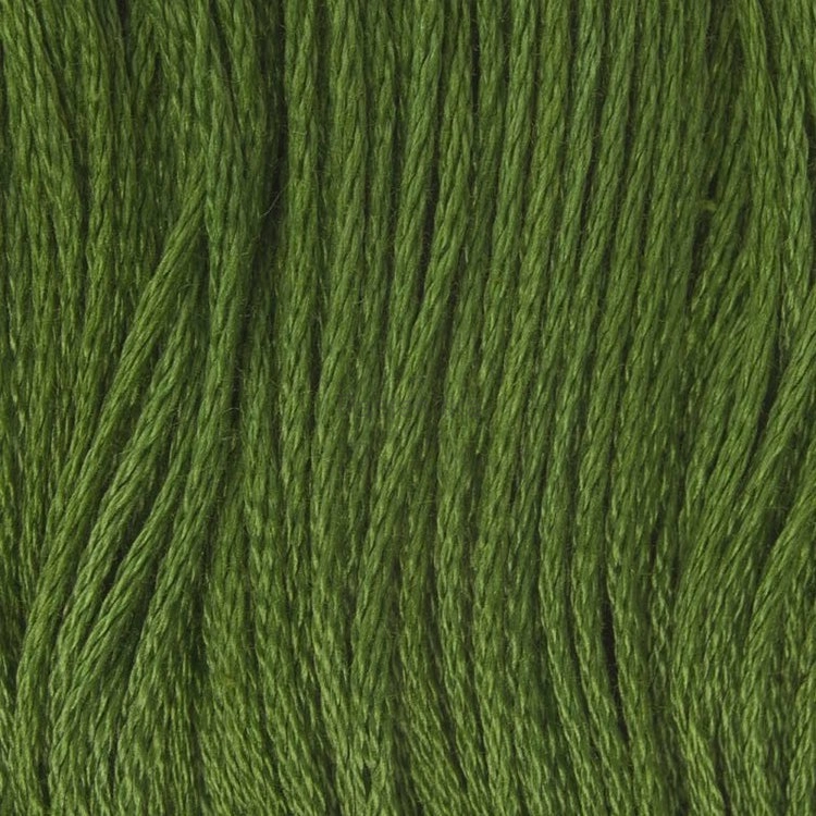 Ariadna Mulina 1686 B / zielony
