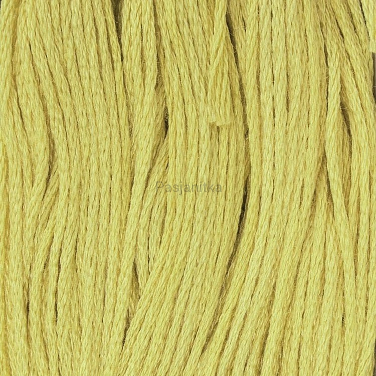 Ariadna Mulina 1691 B / zielono-żółty