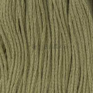 Ariadna Mulina 1714 B / oliwkowy