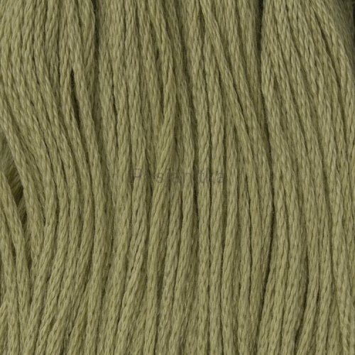 Ariadna Mulina 1714 B / oliwkowy