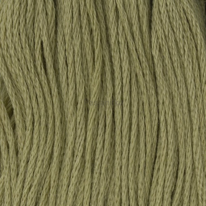 Ariadna Mulina 1714 B / oliwkowy
