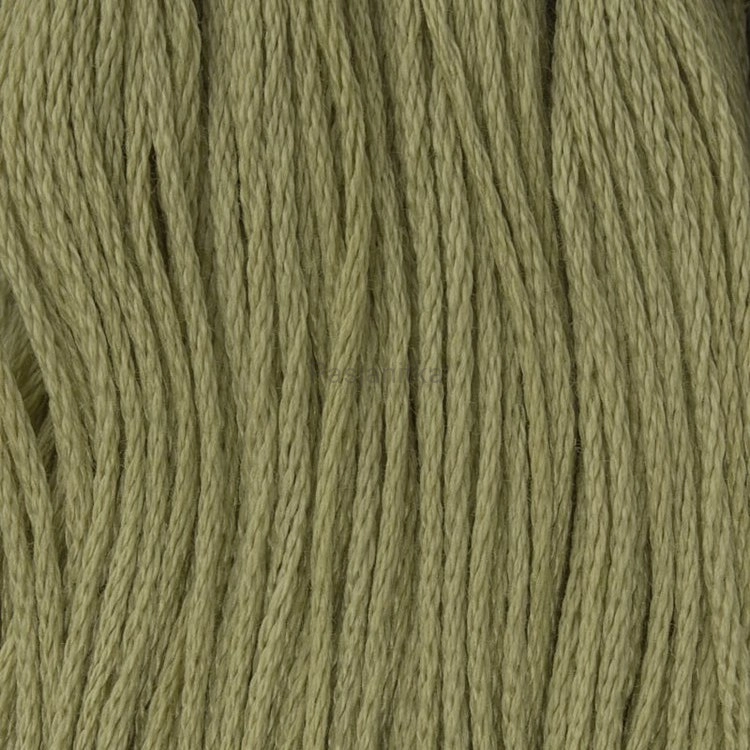 Ariadna Mulina 1714 B / oliwkowy
