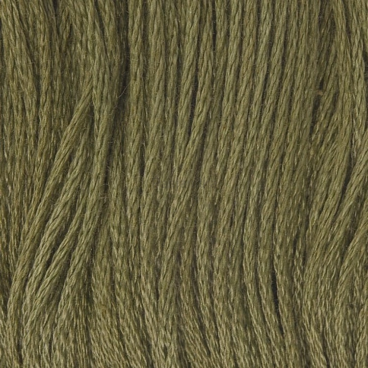 Ariadna Mulina 1714 C / oliwkowy
