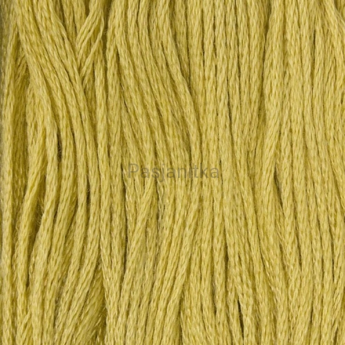 Ariadna Mulina 1721 / musztardowy