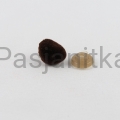 Nos trójkąt aksamitek 11 x 14 mm brązowy